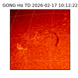 gong - 2026-02-17T10:12:22