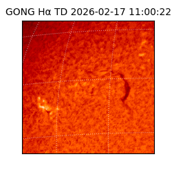 gong - 2026-02-17T11:00:22