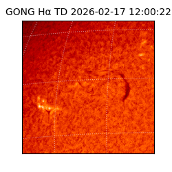 gong - 2026-02-17T12:00:22