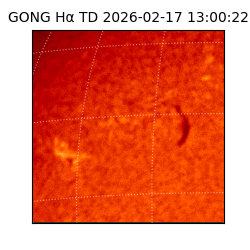 gong - 2026-02-17T13:00:22