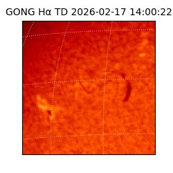 gong - 2026-02-17T14:00:22