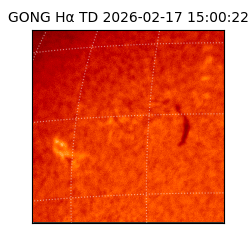 gong - 2026-02-17T15:00:22