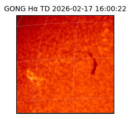 gong - 2026-02-17T16:00:22