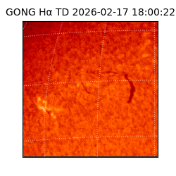 gong - 2026-02-17T18:00:22