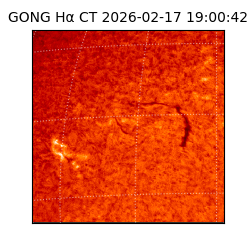gong - 2026-02-17T19:00:42