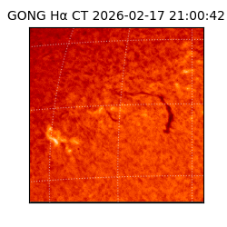 gong - 2026-02-17T21:00:42