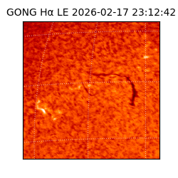 gong - 2026-02-17T23:12:42