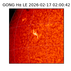 gong - 2026-02-17T02:00:42