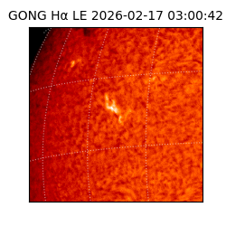gong - 2026-02-17T03:00:42