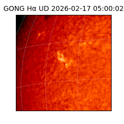 gong - 2026-02-17T05:00:02