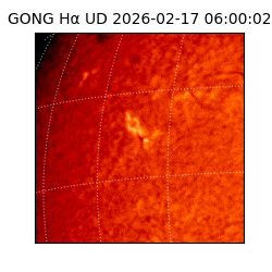 gong - 2026-02-17T06:00:02