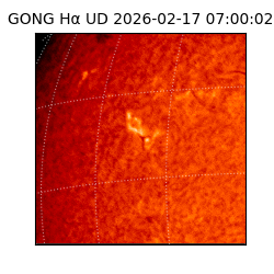 gong - 2026-02-17T07:00:02