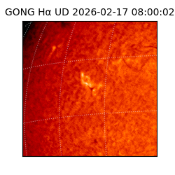 gong - 2026-02-17T08:00:02
