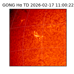 gong - 2026-02-17T11:00:22