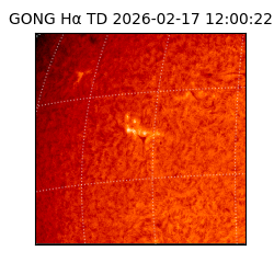 gong - 2026-02-17T12:00:22