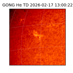 gong - 2026-02-17T13:00:22