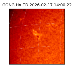 gong - 2026-02-17T14:00:22