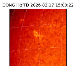 gong - 2026-02-17T15:00:22