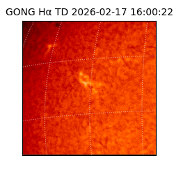 gong - 2026-02-17T16:00:22