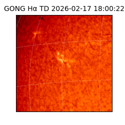 gong - 2026-02-17T18:00:22