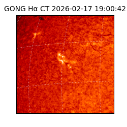 gong - 2026-02-17T19:00:42