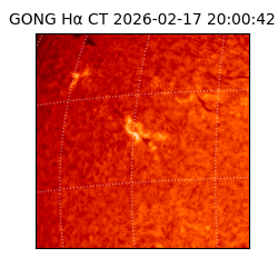 gong - 2026-02-17T20:00:42