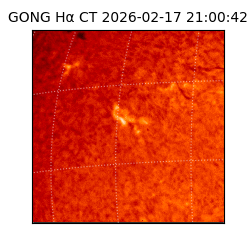 gong - 2026-02-17T21:00:42