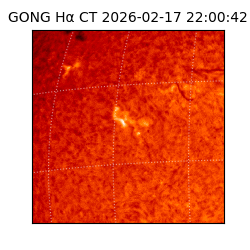 gong - 2026-02-17T22:00:42
