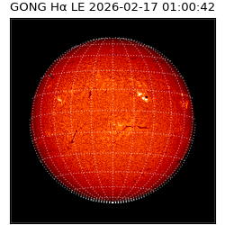 gong - 2026-02-17T01:00:42