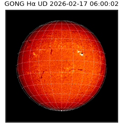gong - 2026-02-17T06:00:02