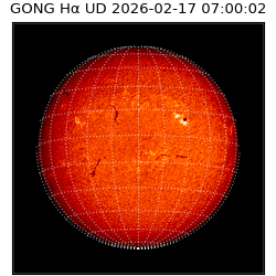 gong - 2026-02-17T07:00:02