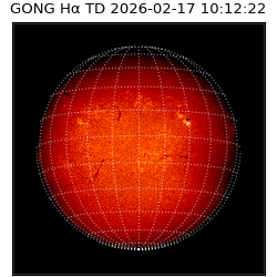 gong - 2026-02-17T10:12:22