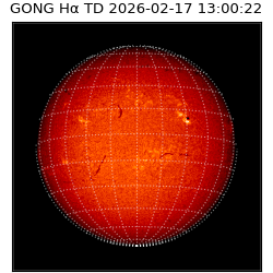 gong - 2026-02-17T13:00:22