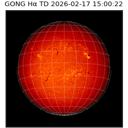 gong - 2026-02-17T15:00:22