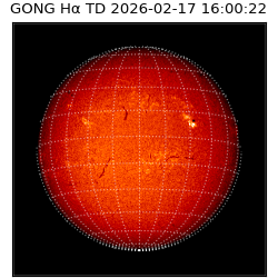 gong - 2026-02-17T16:00:22