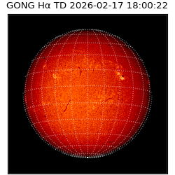 gong - 2026-02-17T18:00:22