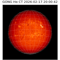 gong - 2026-02-17T20:00:42