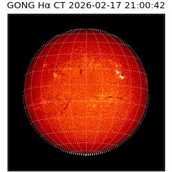 gong - 2026-02-17T21:00:42