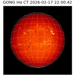 gong - 2026-02-17T22:00:42