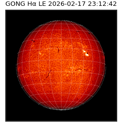gong - 2026-02-17T23:12:42