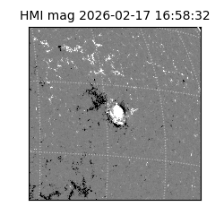 shmi - 2026-02-17T16:58:32