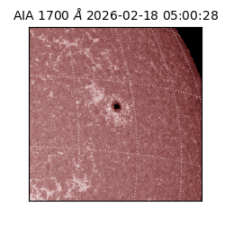 saia - 2026-02-18T05:00:28.726000