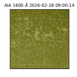 saia - 2026-02-18T09:00:14.126000