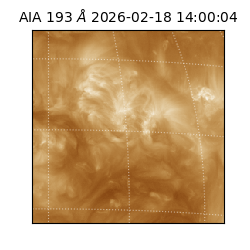 saia - 2026-02-18T14:00:04.835000