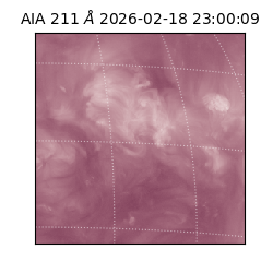 saia - 2026-02-18T23:00:09.625000