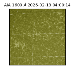 saia - 2026-02-18T04:00:14.126000