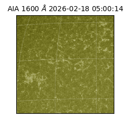 saia - 2026-02-18T05:00:14.117000