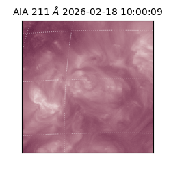 saia - 2026-02-18T10:00:09.626000