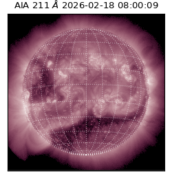 saia - 2026-02-18T08:00:09.629000