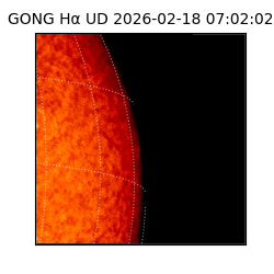gong - 2026-02-18T07:02:02